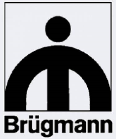 Все о профиле Брюгман